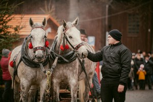 Zwiernik, Święto Trzech Króli 2022-39.jpg